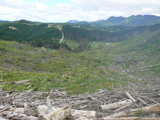 Lot 65 Stoney Creek Road Mangamuka_2