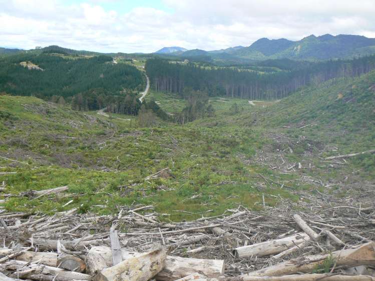 Lot 65 Stoney Creek Road Mangamuka_2