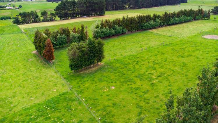 29 Ruahine Street Dannevirke_36