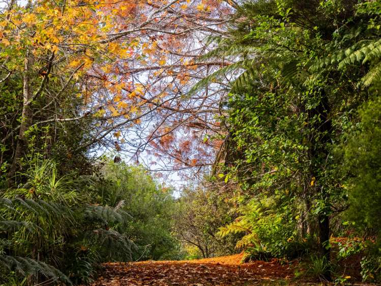 Lot 3 291 Sharp Road_0