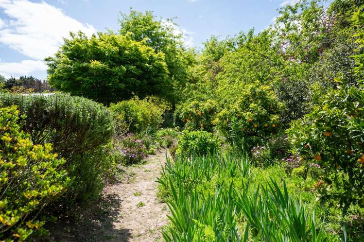 47D Poplar Lane Matangi_32