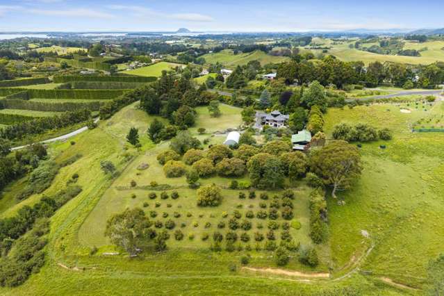 376 Esdaile Road Whakamarama_1