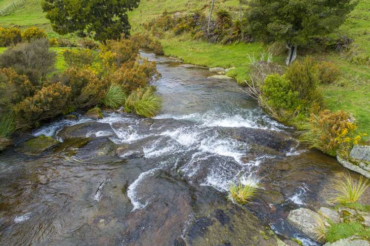 698f Whakamarama Road Whakamarama_24