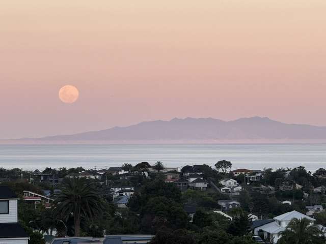 188a Browns Bay Road Browns Bay_1