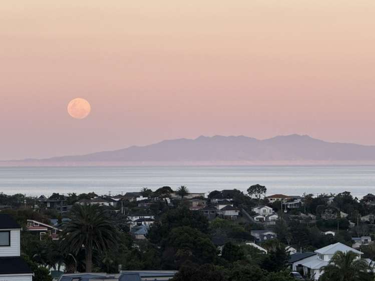 188a Browns Bay Road Browns Bay_1