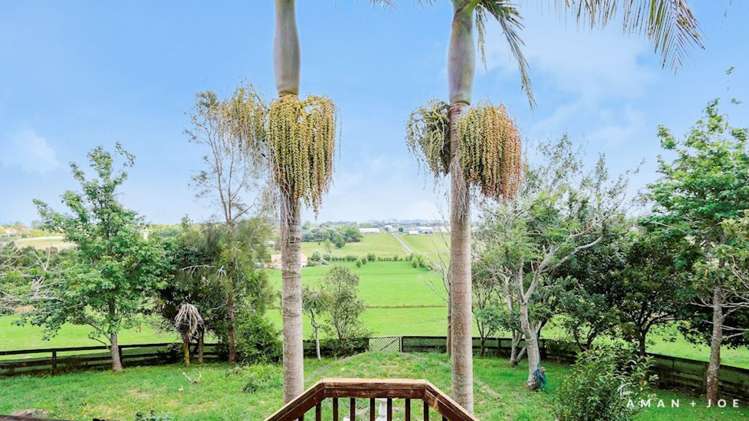 218 Postman Road Dairy Flat_9