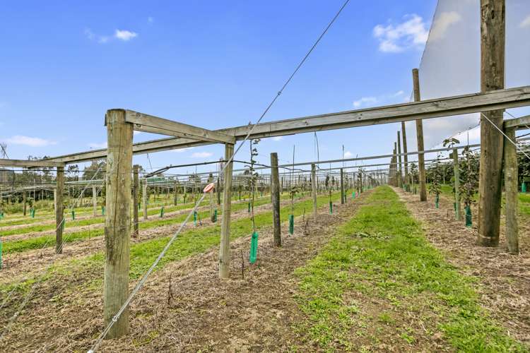 263 Waihi Beach Road Waihi_9