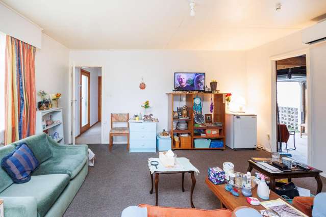 4 Alice Place Levin_3