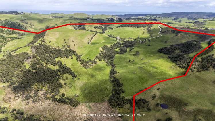 147 Fuller Road, South Head Helensville_4