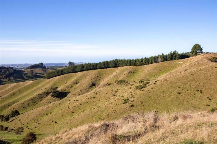 Win Valley Road Upper Moutere_8