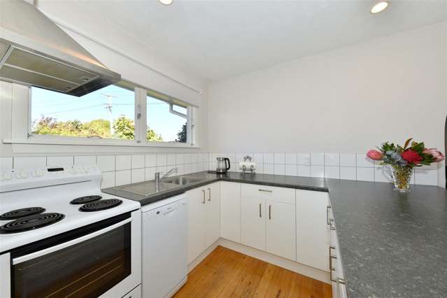 472 Wairakei Road Burnside_4