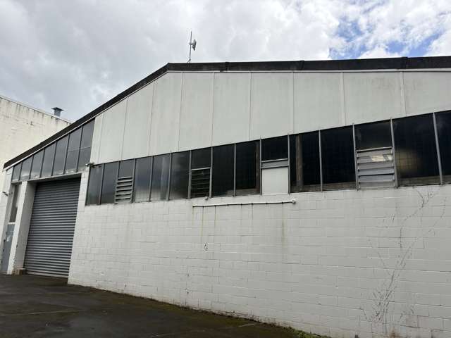 5a Fenton Street Mt Eden_2