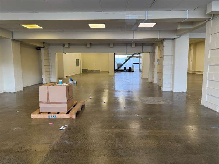 58 Adelaide Road Mount Cook_5