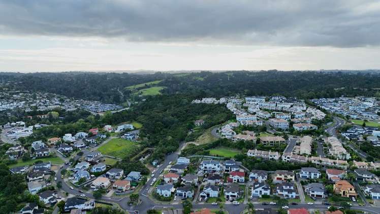 31 Living Stream Road Albany Heights_7