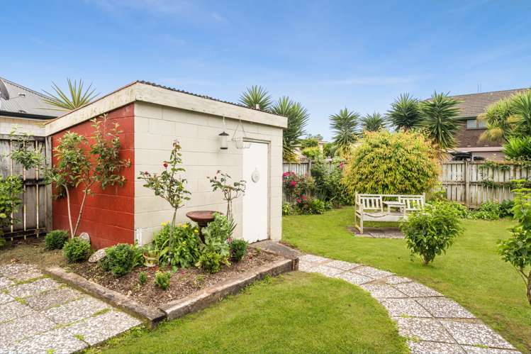 337 Thames Street Morrinsville_17