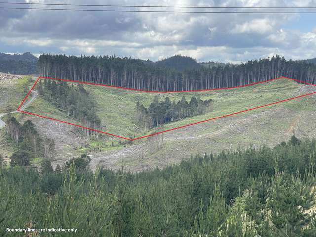 Iwitaua Road Kaitaia_2