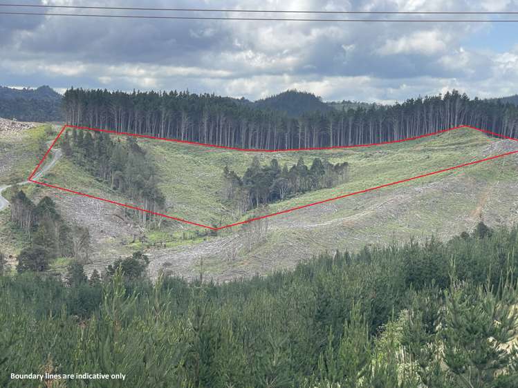 Iwitaua Road Kaitaia_2