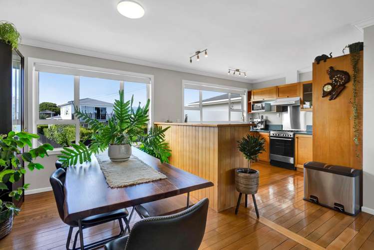 228A Omata Road Spotswood_1