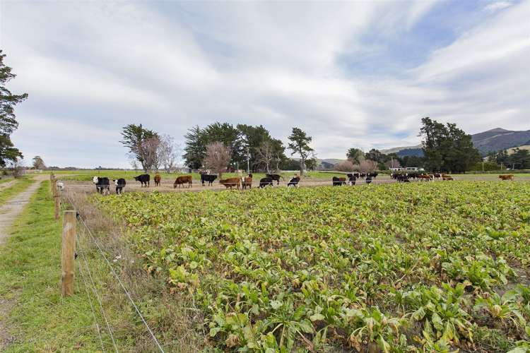 941 German Road Oxford_6