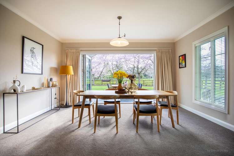 67d Davison Road Newstead_11