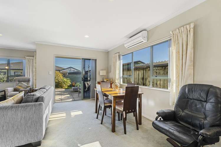 153A Carrington Street Vogeltown_7
