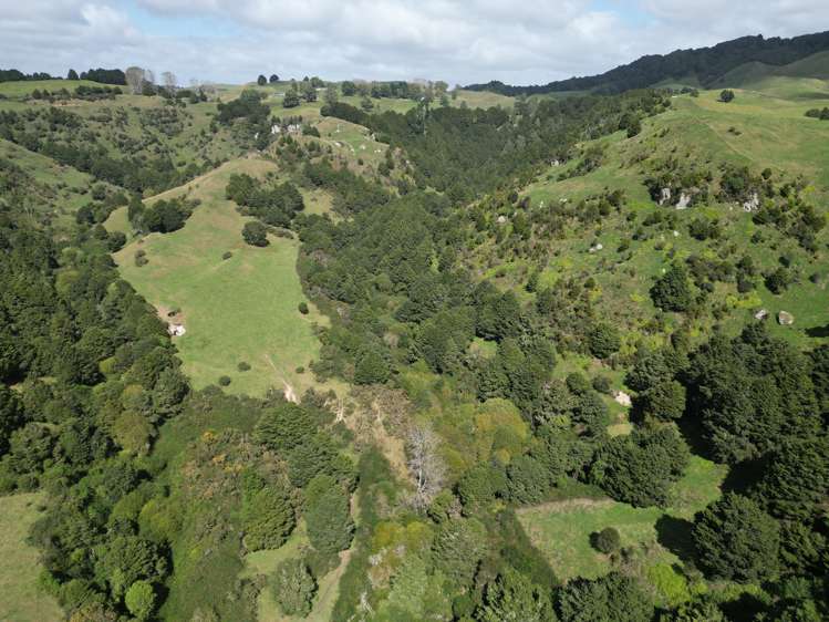 Paraketu Road Waimiha_4