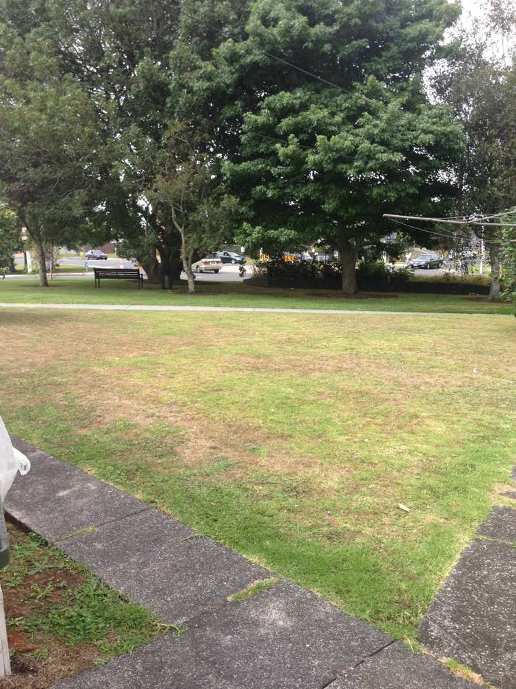 21b Selwyn Road Epsom_8