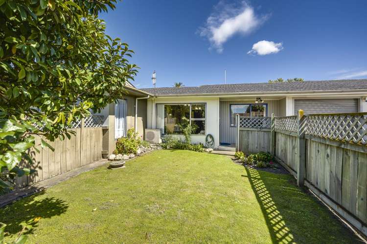 3/800 Miller Street Hastings_12