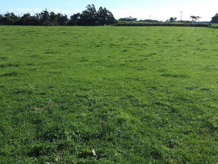 1102 Mangorei Road Mangorei_21