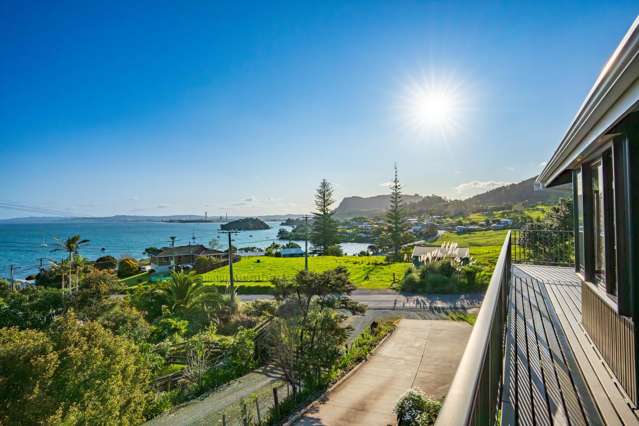 The Taurikura Beach House