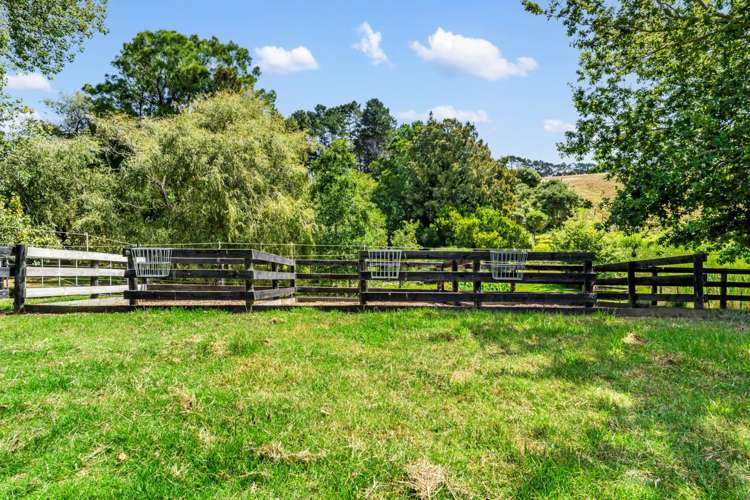 1539 State Highway 16 Helensville_25