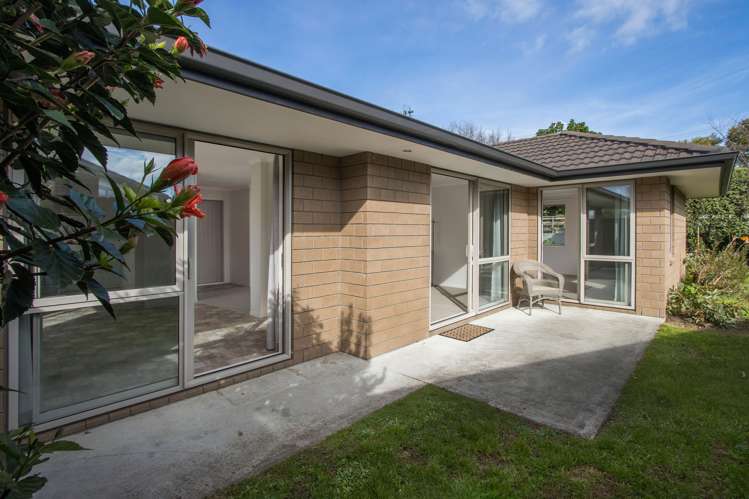 21 Hoggard Place Katikati_5
