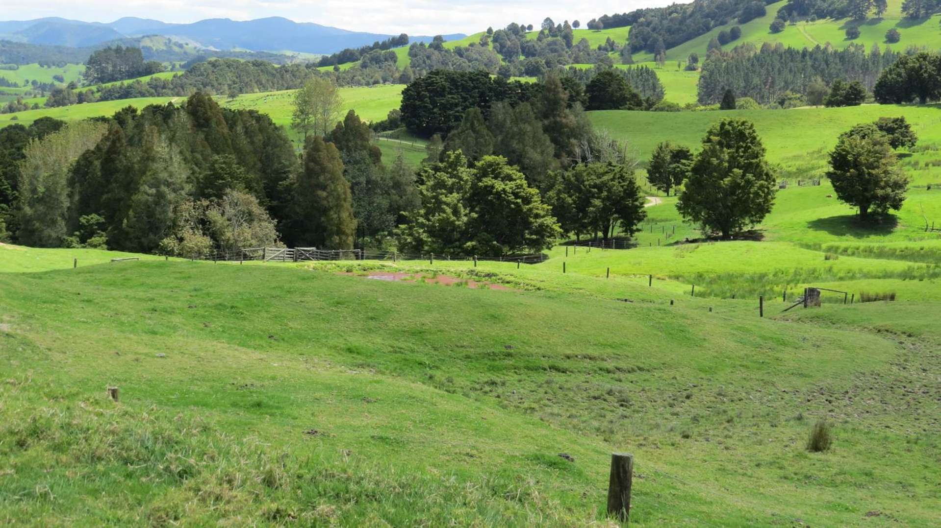 3136 State Highway 1 Umawera_0