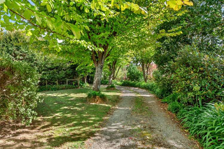 25 Chester Road Clareville_24