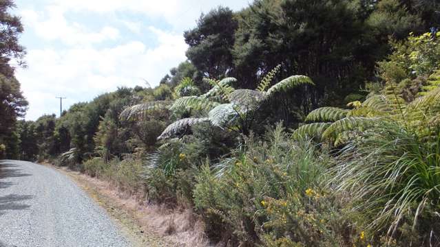 Oruaiti Road Mangonui_2