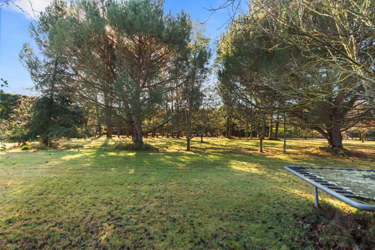1055 Tram Road Mandeville_29