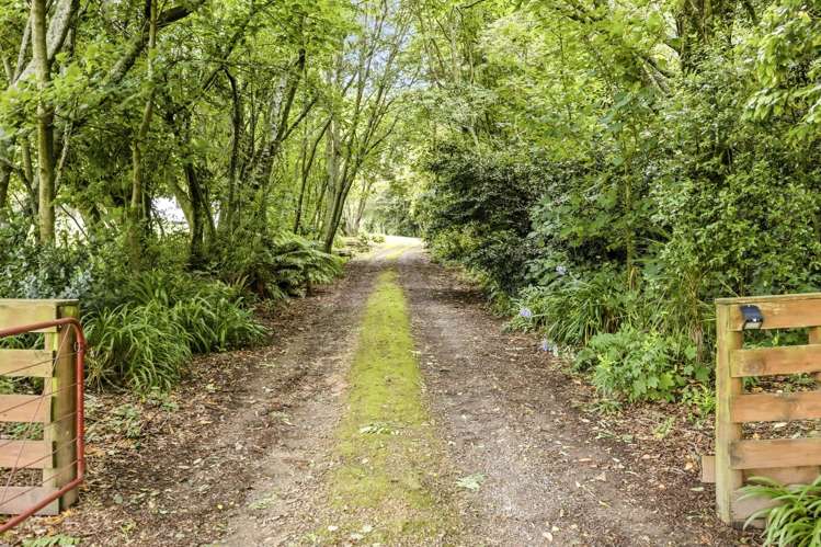 546 Henderson Road Whakamaru_29