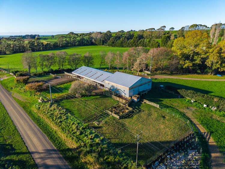 463 Dog Kennel Road Waimate_18