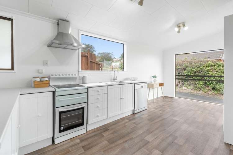 12 Shand Street Green Island_6