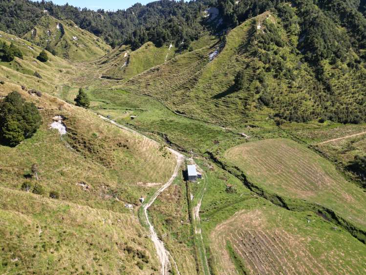 900 Okoki Road Okoki_11