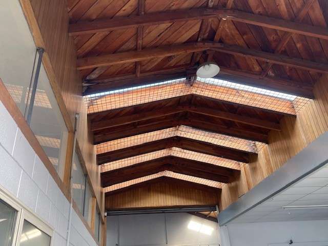 272 Tuam Street Christchurch Central_2