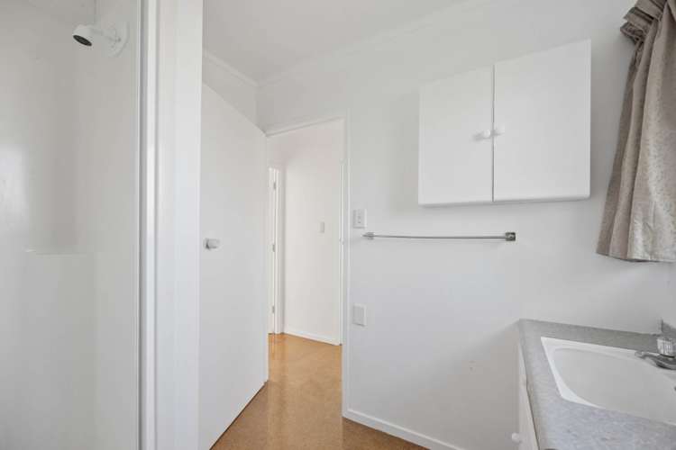 11B Hope Street Grey Lynn_5