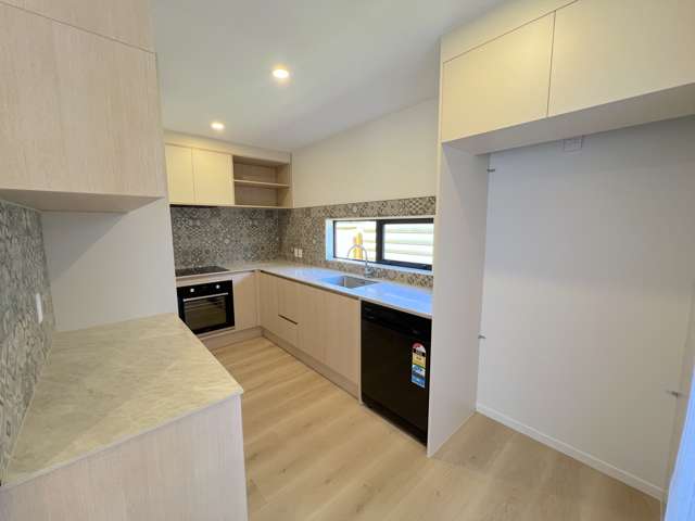 11d Williams Avenue Pakuranga_2