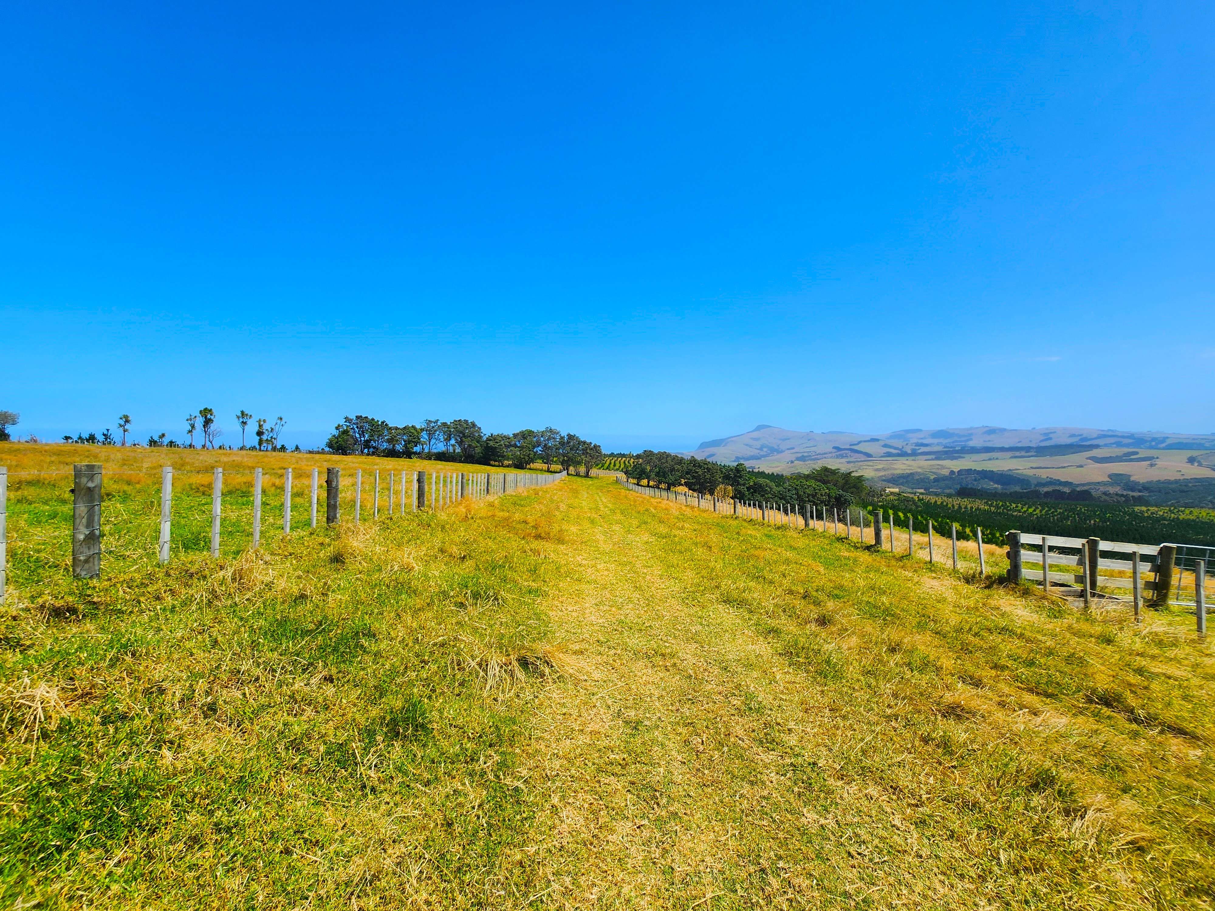 413 Monteith Road Dargaville Surrounds Kaipara Rural Property For