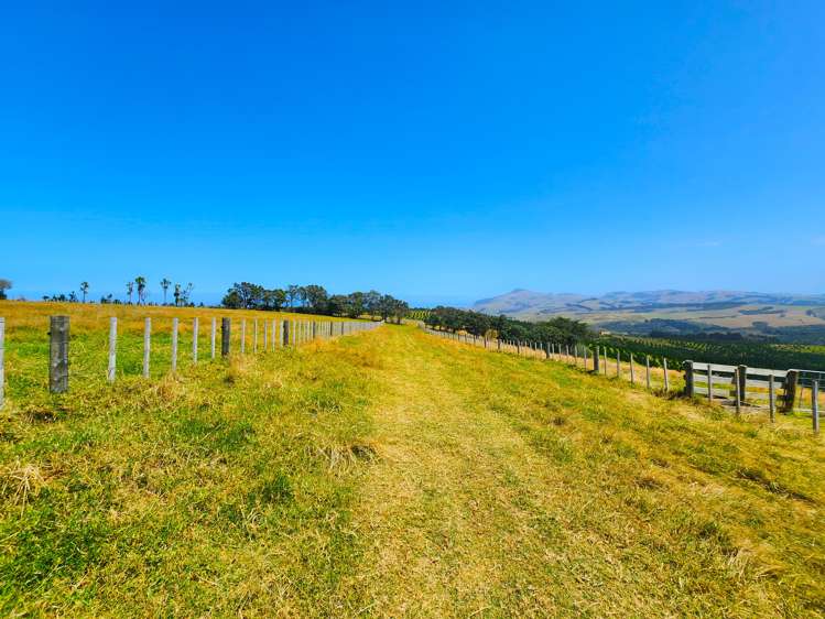 413 Monteith Road Dargaville Surrounds_7