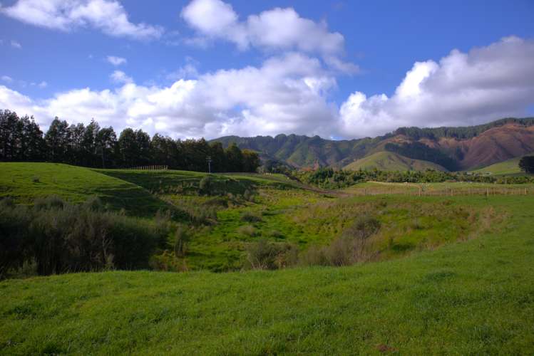 116 Mcdonald Road Levin_2