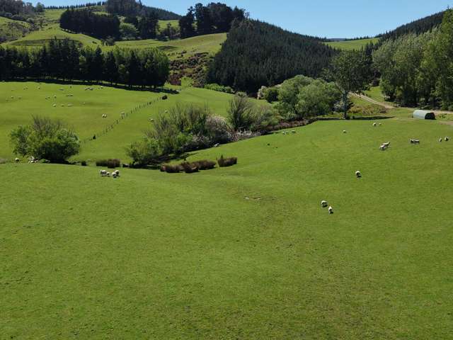 66 Otokia-Kuri Bush Road West Henley_3