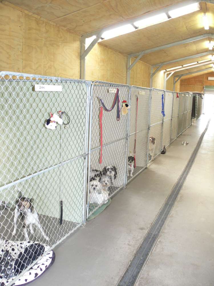 746 Clutha River Road Rongahere_2