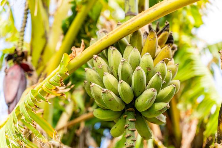 70 Jellicoe Road Ruawai_28