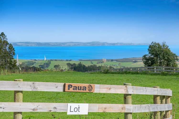 189 Tuhirangi Road_5